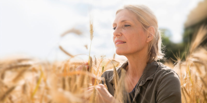 Das Dr. Böhm® Sortiment reicht von der Herz- bis hin zur Gelenksgesundheit. Ganz besonders am Herzen liegt Dr. Böhm® darüber hinaus das Thema „Female Health®“, weshalb Dr. Böhm® sich auch schwerpunktmäßig Problemfeldern wie PMS sowie Regel- oder Wechseljahresbeschwerden und der Blasengesundheit widmen.